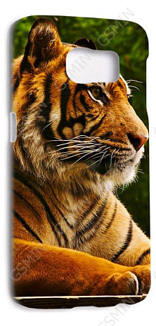 -  Samsung Galaxy S6 Edge G925F () ( 174)