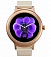 - LG Watch Style W270 1.2" P-OLED   (LGW270.ACISPG)