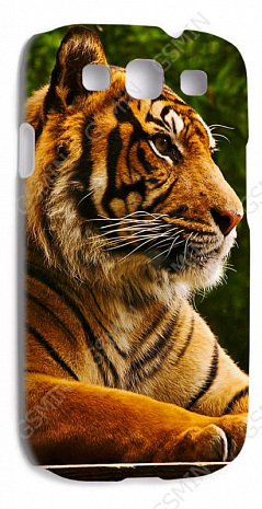 Чехол-накладка для Samsung Galaxy S3 (i9300) (Белый) (Дизайн 174)