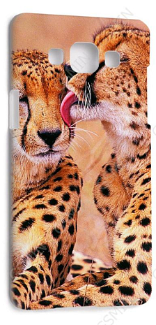 Чехол-накладка для Samsung Galaxy A5 (Белый) (Дизайн 172)