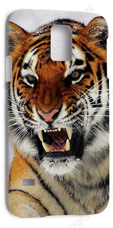 Чехол-накладка для Samsung Galaxy S5 (Белый) (Дизайн 178)