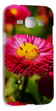 Чехол-накладка для Samsung Galaxy J1 (J100H) (Белый) (Дизайн 170)