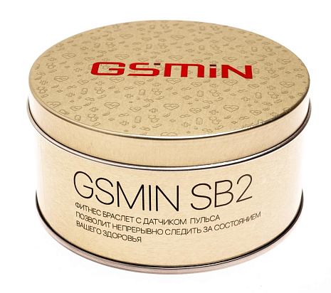   GSMIN SB2    ()
