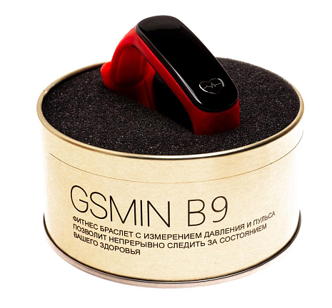   GSMIN B9        ()