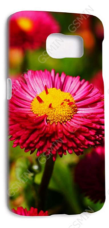 Чехол-накладка для Samsung Galaxy S6 Edge G925F (Белый) (Дизайн 170)