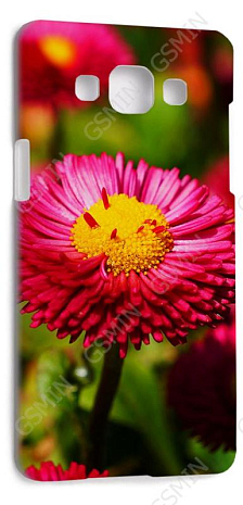 Чехол-накладка для Samsung Galaxy A5 (Белый) (Дизайн 170)