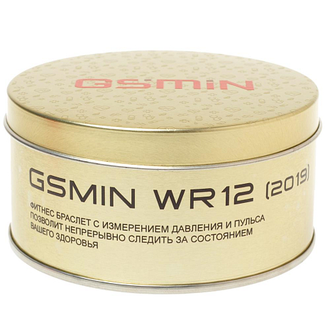   GSMIN WR12 (2019)      ()