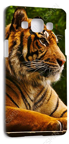 Чехол-накладка для Samsung Galaxy A5 (Белый) (Дизайн 174)