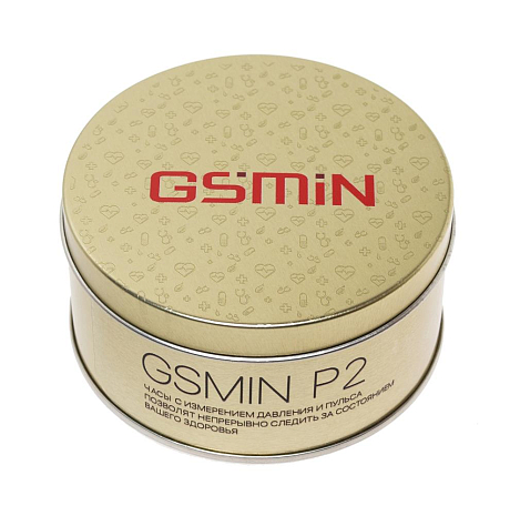  GSMIN P2      ()