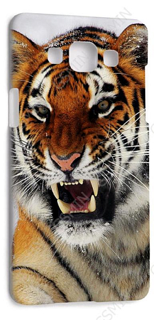 Чехол-накладка для Samsung Galaxy A5 (Белый) (Дизайн 178)