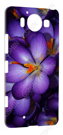 -  Microsoft Lumia 950 Dual Sim () ( 158)
