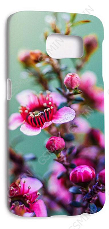 Чехол-накладка для Samsung Galaxy S6 Edge G925F (Белый) (Дизайн 166)