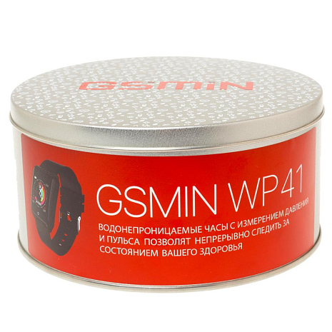   GSMIN WP41      ()